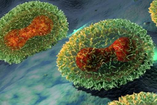 古人的天花是什么病?为什么人们对天花那么害怕?