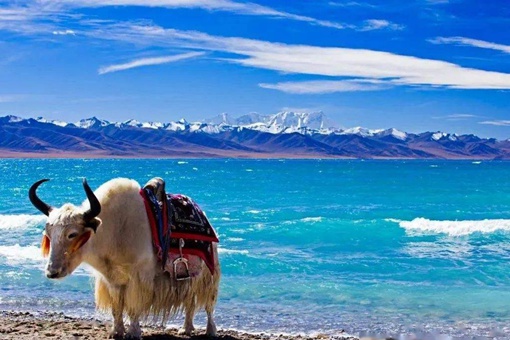 日光城是我国哪座城市?