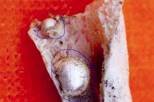 舍利是怎么形成的?为什么只有佛教才有? 舍利是怎么形成的?为什么只有佛教才有?