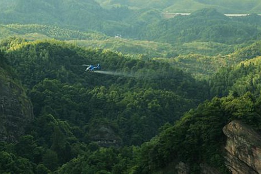 蝗灾怎么形成的?蝗灾到底是怎么引起的? 蝗灾怎么形成的?蝗灾到底是怎么引起的?