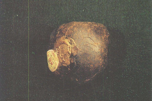 千年麒麟竭是什么东西?揭秘千年麒麟竭的功效 千年麒麟竭是什么东西?揭秘千年麒麟竭的功效