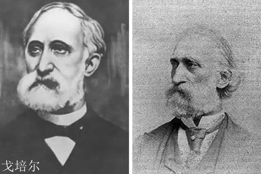 电灯泡真的是爱迪生发明的吗?电灯泡是黑人发明的 电灯泡真的是爱迪生发明的吗?电灯泡是黑人发明的