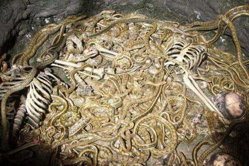 虿盆之刑的由来是怎样的?什么是虿盆之刑? 虿盆之刑的由来是怎样的?什么是虿盆之刑?