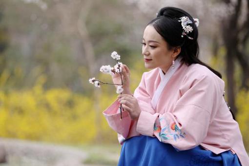 嬴政和芈月什么关系? 嬴政和芈月什么关系?