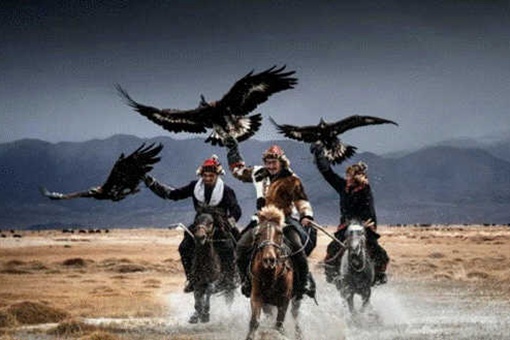 金国被蒙古灭国的时候有多惨烈