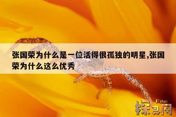 张国荣为什么是一位活得很孤独的明星,张国荣为什么这么优秀