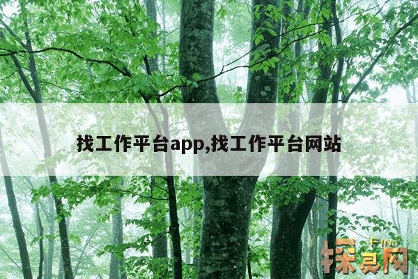 找工作平台app,找工作平台网站