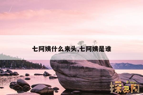 七阿姨什么来头,七阿姨是谁