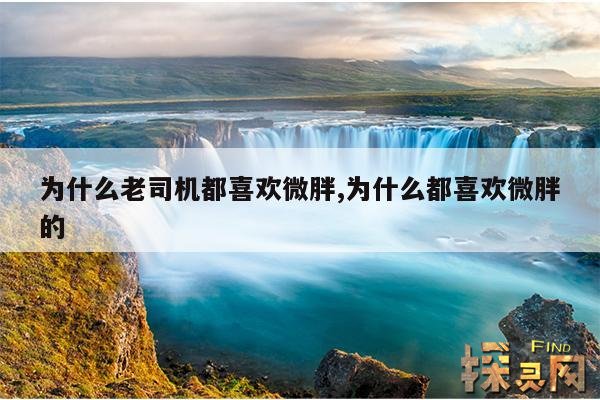 为什么老司机都喜欢微胖,为什么都喜欢微胖的