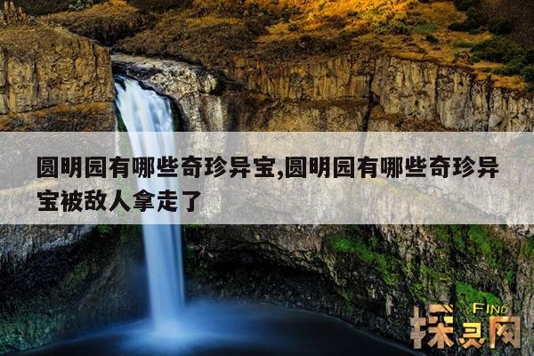 圆明园有哪些奇珍异宝,圆明园有哪些奇珍异宝被敌人拿走了