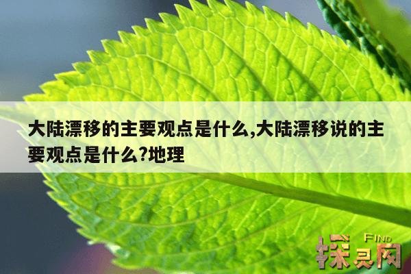 大陆漂移的主要观点是什么,大陆漂移说的主要观点是什么?地理