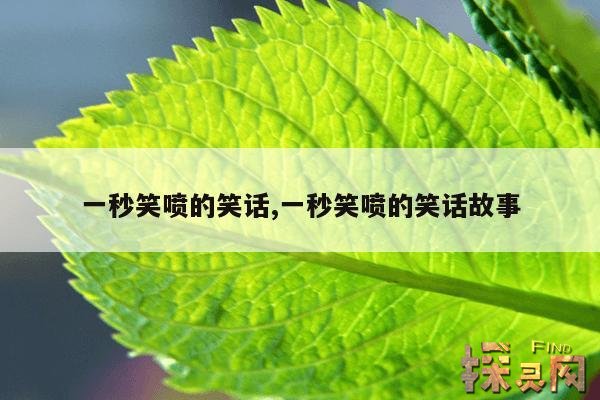 一秒笑喷的笑话,一秒笑喷的笑话故事