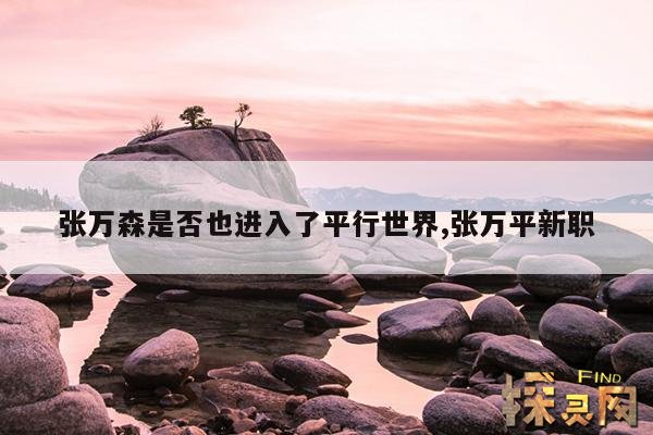 张万森是否也进入了平行世界,张万平新职