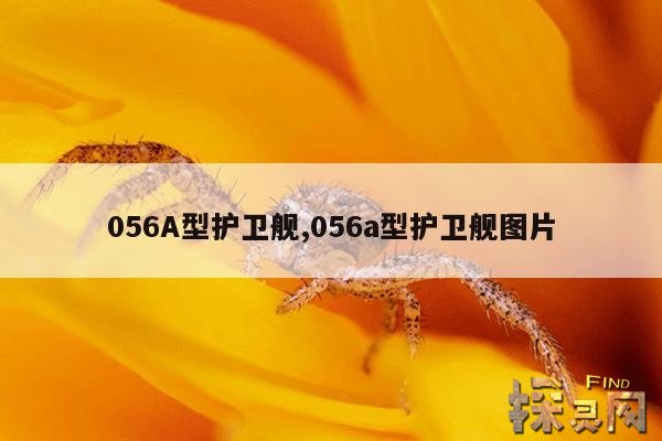 056A型护卫舰,056a型护卫舰图片