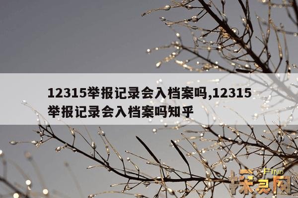 12315举报记录会入档案吗?,12315举报记录会入档案吗?安全吗?