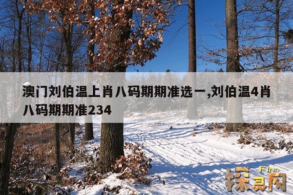 澳门刘伯温上肖八码期期准选一,刘伯温4肖八码期期准234