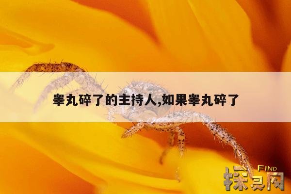 睾丸碎了的主持人,如果睾丸碎了