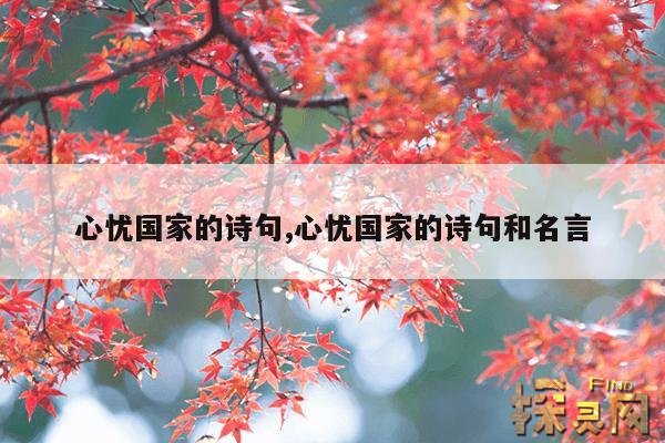 心忧国家的诗句,心忧国家的诗句和名言