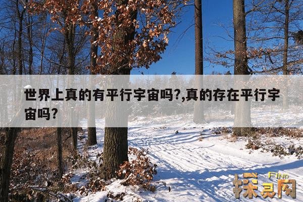 世界上真的有平行宇宙吗?,真的存在平行宇宙吗?