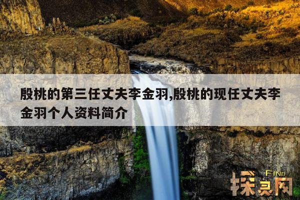 殷桃的第三任丈夫李金羽,殷桃的现任丈夫李金羽个人资料简介
