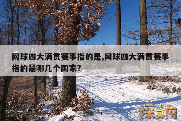 网球四大满贯赛事指的是,网球四大满贯赛事指的是哪几个国家?