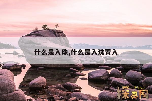 什么是入珠,什么是入珠置入