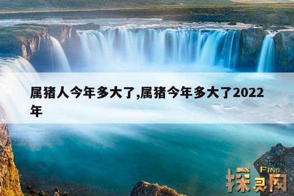 属猪人今年多大了,属猪今年多大了2022年