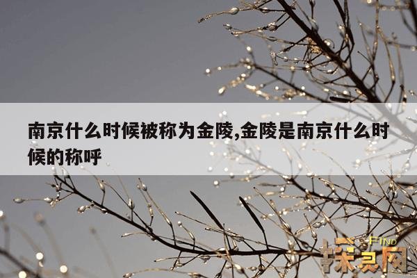 南京什么时候被称为金陵,金陵是南京什么时候的称呼