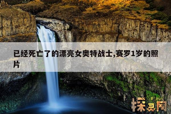 已经死亡了的漂亮女奥特战士,赛罗1岁的照片