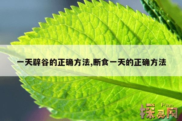 一天辟谷的正确方法,断食一天的正确方法