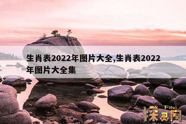 生肖表2022年图片大全,生肖表2022年图片大全集