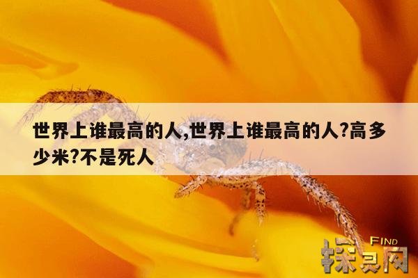 世界上谁最高的人,世界上谁最高的人?高多少米?不是死人