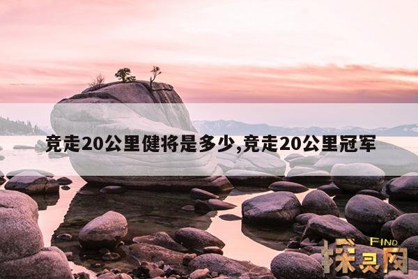竞走20公里健将是多少,竞走20公里冠军