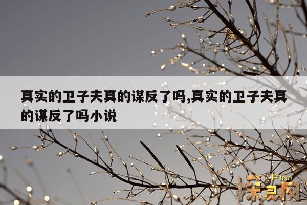真实的卫子夫真的谋反了吗,真实的卫子夫真的谋反了吗小说