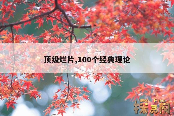 顶级烂片,100个经典理论