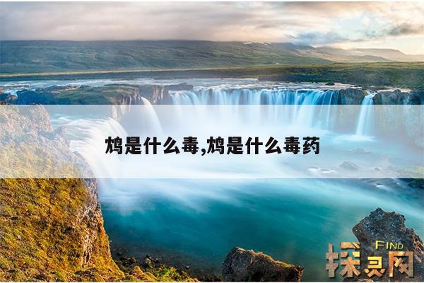 鸩是什么毒,鸩是什么毒药