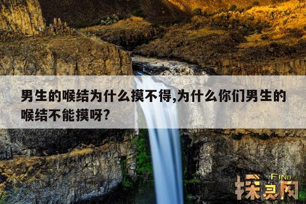 男生的喉结为什么摸不得,为什么你们男生的喉结不能摸呀?
