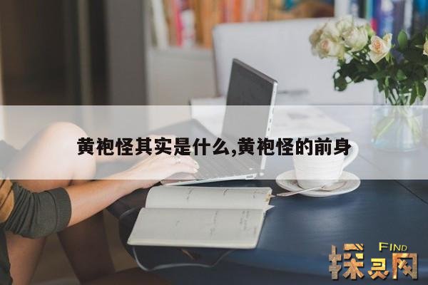 黄袍怪其实是什么,黄袍怪的前身