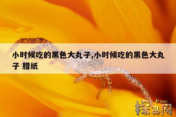 小时候吃的黑色大丸子,小时候吃的黑色大丸子 腊纸