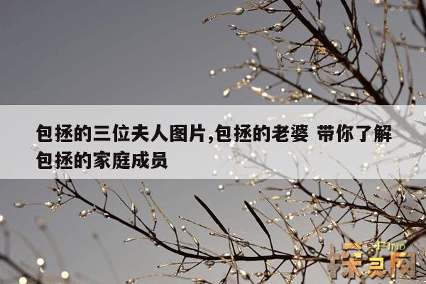 包拯的三位夫人图片,包拯的老婆 带你了解包拯的家庭成员
