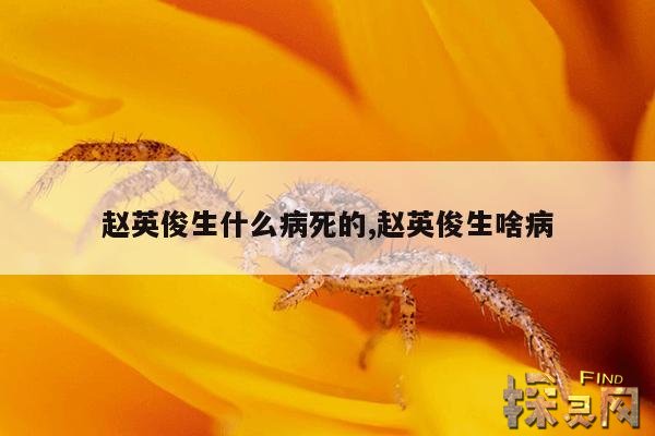 赵英俊生什么病死的,赵英俊生啥病
