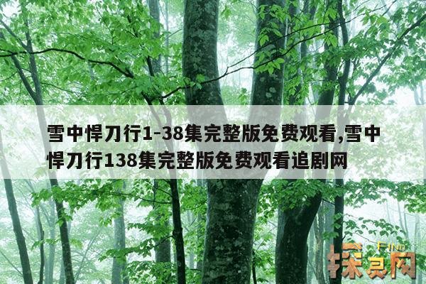 雪中悍刀行1-38集完整版免费观看,雪中悍刀行138集完整版免费观看追剧网