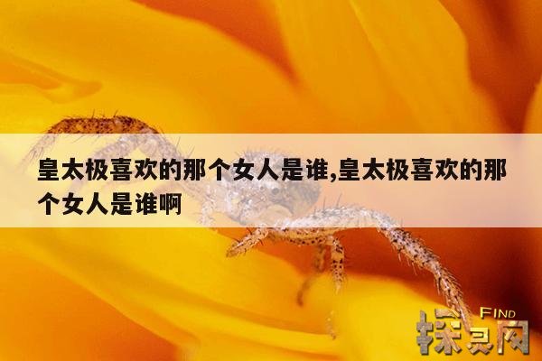 皇太极喜欢的那个女人是谁,皇太极喜欢的那个女人是谁啊