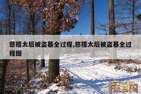 慈禧太后被盗墓全过程,慈禧太后被盗墓全过程图