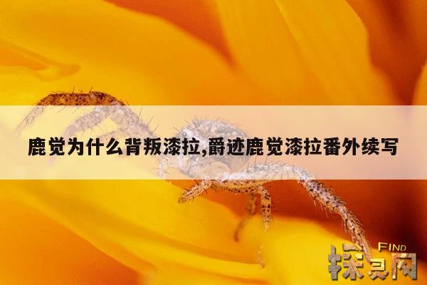 鹿觉为什么背叛漆拉,爵迹鹿觉漆拉番外续写