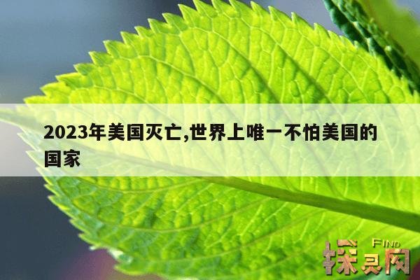 2023年美国灭亡,世界上唯一不怕美国的国家