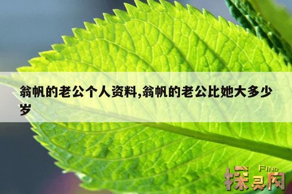 翁帆的老公个人资料,翁帆的老公比她大多少岁