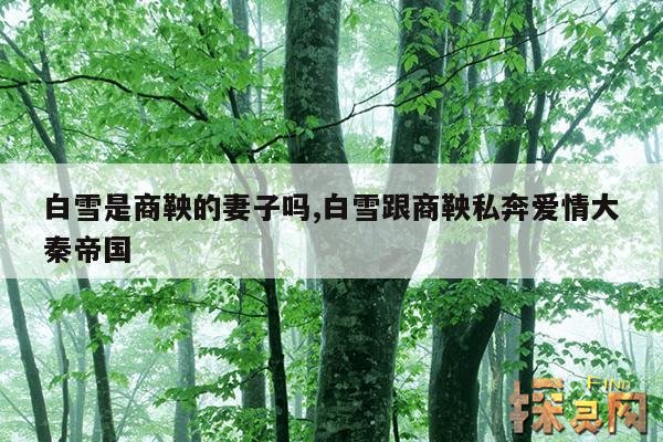 白雪是商鞅的妻子吗,白雪跟商鞅私奔爱情大秦帝国