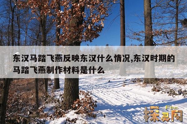 东汉马踏飞燕反映东汉什么情况,东汉时期的马踏飞燕制作材料是什么