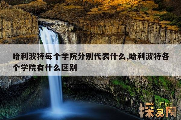 哈利波特每个学院分别代表什么,哈利波特各个学院有什么区别